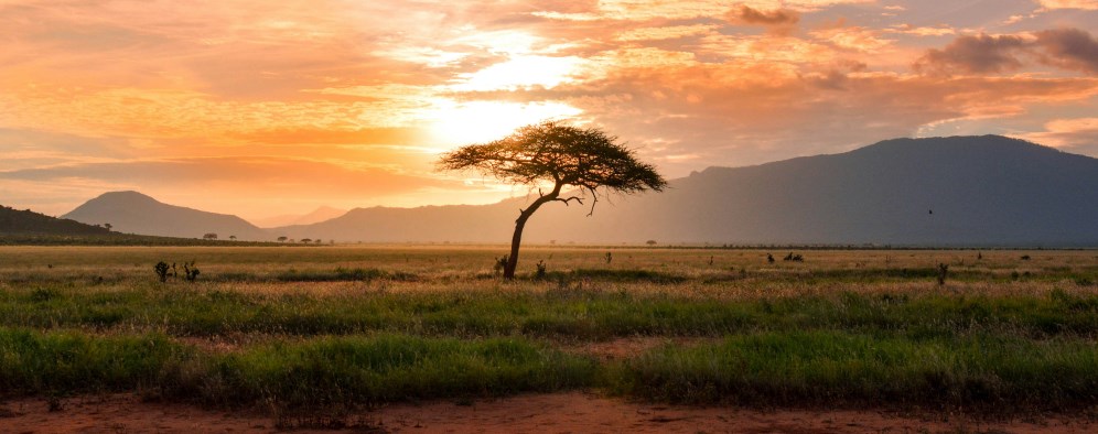 O sabor da África do Sul à sua porta